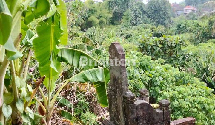 DISEWAKAN TANAH KHUSUS JANGKA PANJANG GIANYAR 2