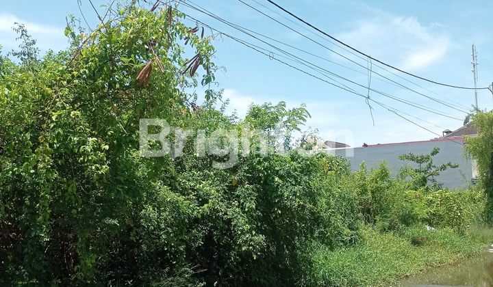 JUAL TANAH LUAS UNTUK VILLA/HOTEL DEKAT KUTA DAN SUNSETROAD BALI