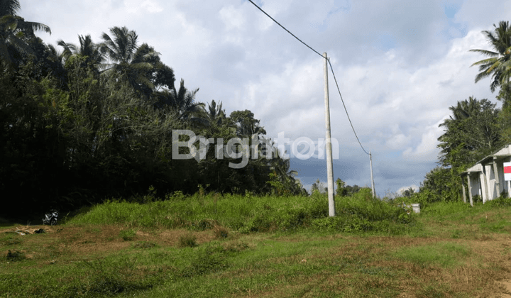 FOR SALE PLOT / GLOBAL LAND IN TABANAN BALI 2