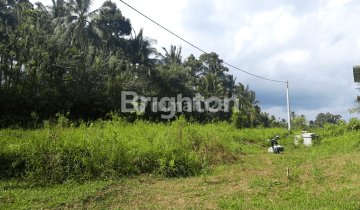 FOR SALE PLOT / GLOBAL LAND IN TABANAN BALI 1