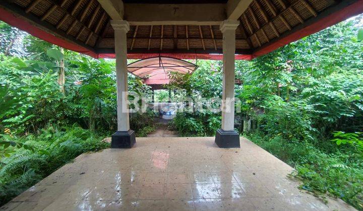 LARGE BUILDING BONUS LAND IN MAS UBUD GIANYAR BALI 2