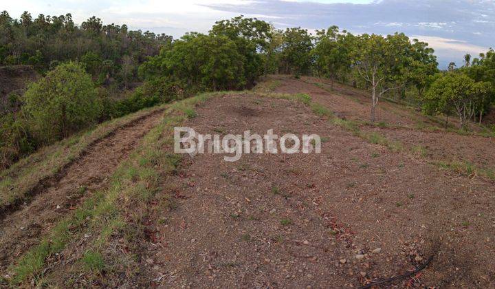 LARGE LAND IN TULAMBEN KARANGASEM TOURIST AREA 1