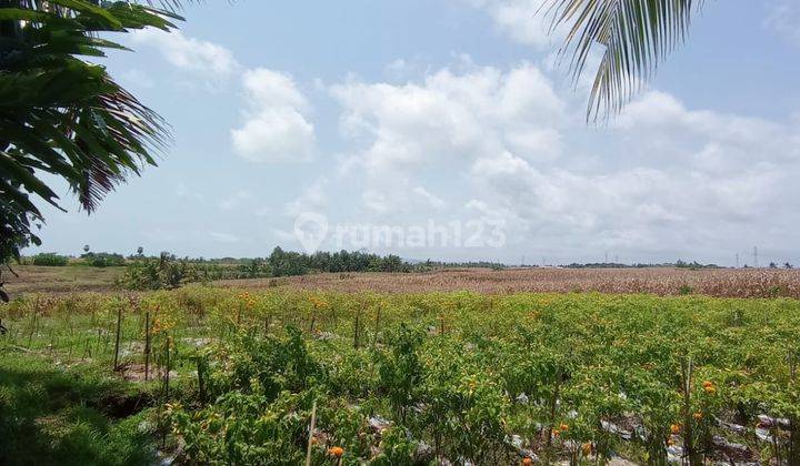 Global Land Suitable For Villas in Tangguntiti, Selemadeg, 2