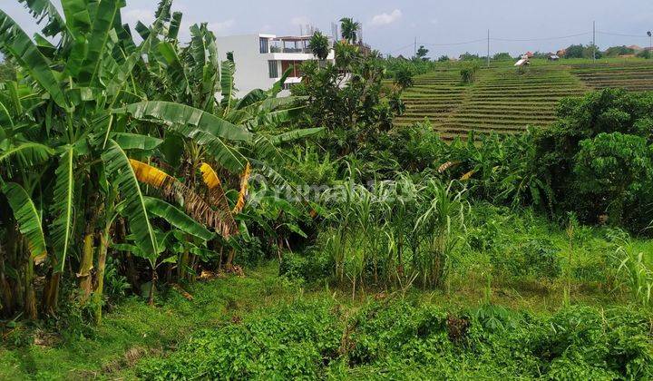 Dijual Tanah 6 Are Datar Siap Bangun Di Area Villa Canggu, Bali 2