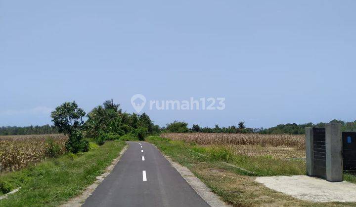 Global Land for Sale in Tegalmengkeb, Tabanan 2