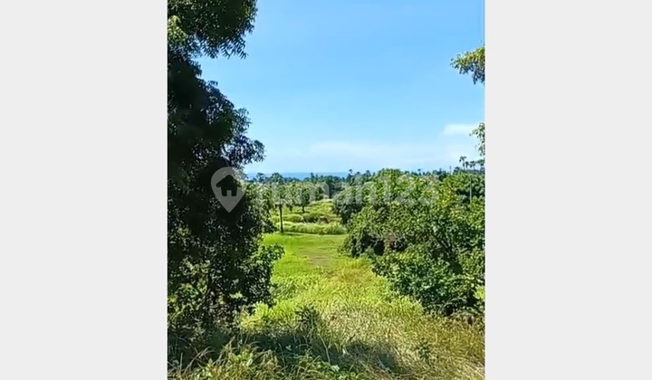 For Sale: Spacious Land with Hill and Ocean Views in Amed, Karangasem
