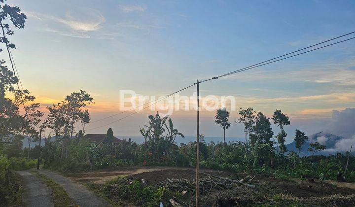 TANAH VIEW BUKIT DI AREA BULELENG 2