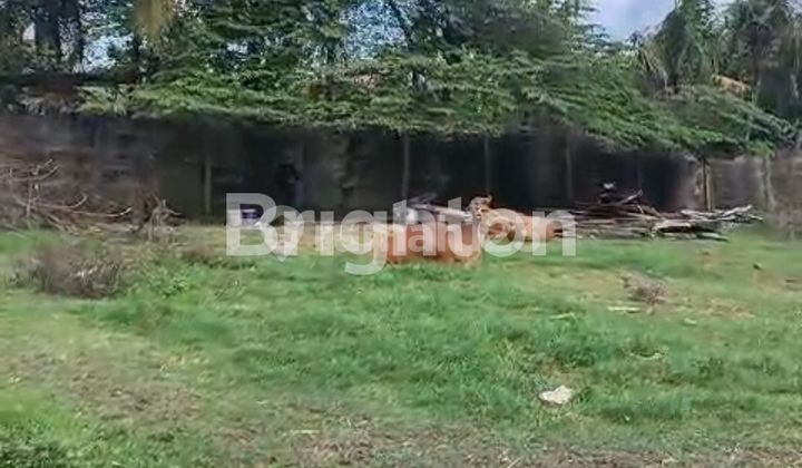 DIJUAL TANAH LUAS UNTUK BANGUN RUMAH/VILLA DI MUNGGU MENGWI BALI