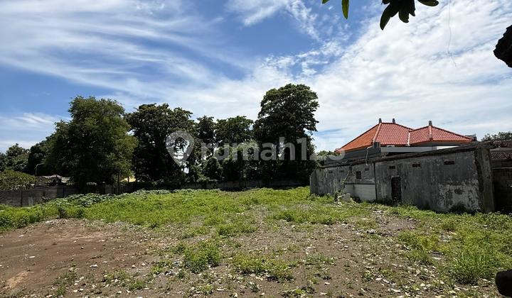 Tanah Investasi 28 Are Dipinggir Jalan Utama Kelan, Tuban, Kuta