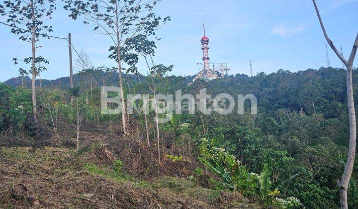 TANAH VIEW BUKIT DI AREA BULELENG 1