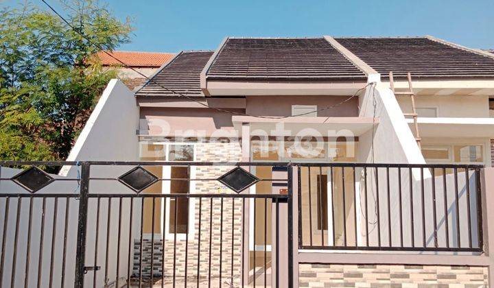 RUMAH BARU GRESS 1 LT DI MEDOKAN AYU SURABAYA 1