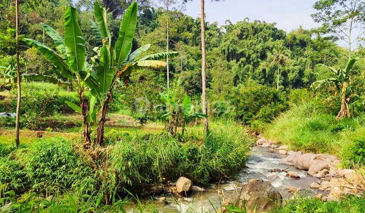 Dijual Tanah di Kp. Kuta, Desa Mangunkerta, Kec. Cugenang 1