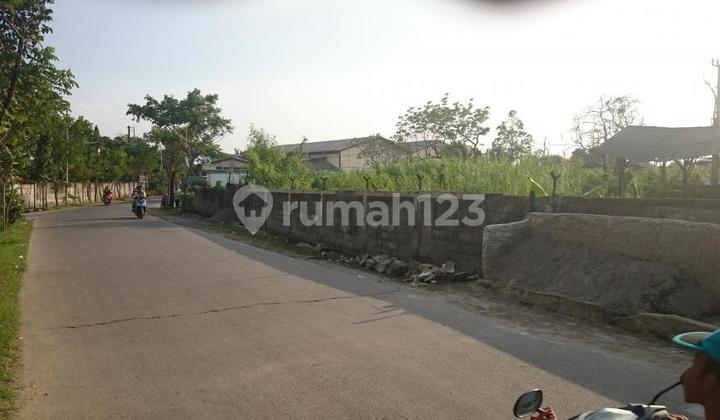 Tanah Di Jl. Wr. Gantung. Kali Deres Luas 1500m² Super Bu