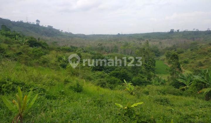 Tanah Kebun Warung Kiara - Sukabumi 2