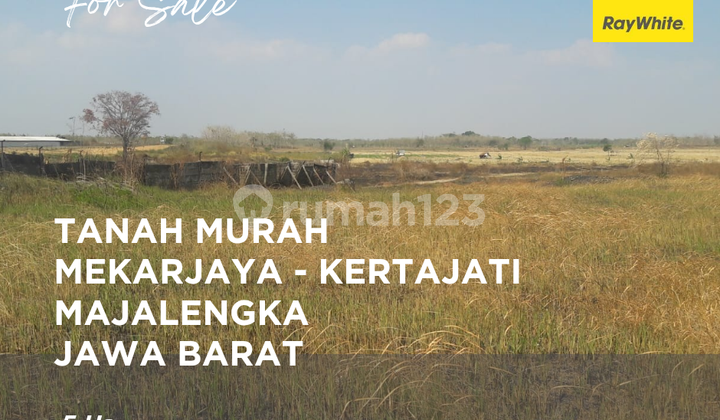 Tanah Majalengka - Samping Pt Bibit Indonesia Farm