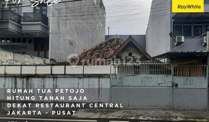 Rumah Tua Petojo - 250m SHM