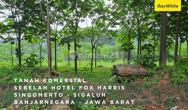 Tanah Samping Hotel - Banjarnegara 3.950 M² 1