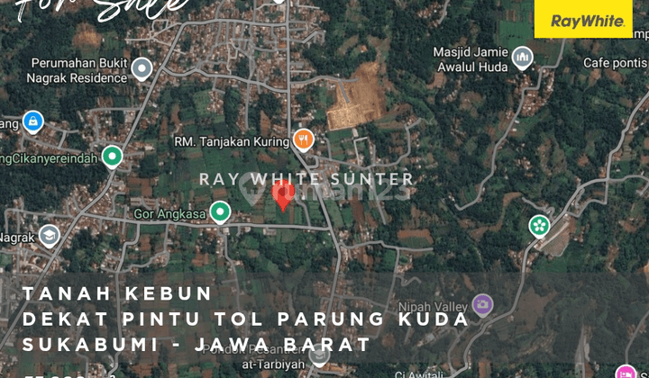 Tanah Kebun Murah - Nagrak - Balekambang - Sukabumi - Jawa Barat 1