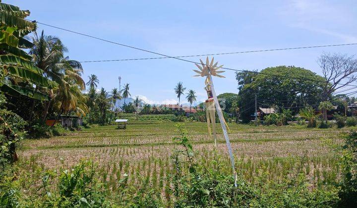 Spacious Strategic Land On The Main Road Gilimanuk Seririt 1