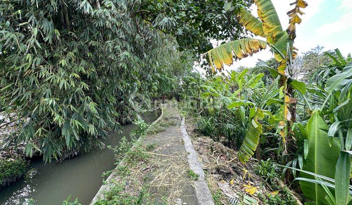 Freehold Riverside Land Suitable For Guesthouse In Canggu 2