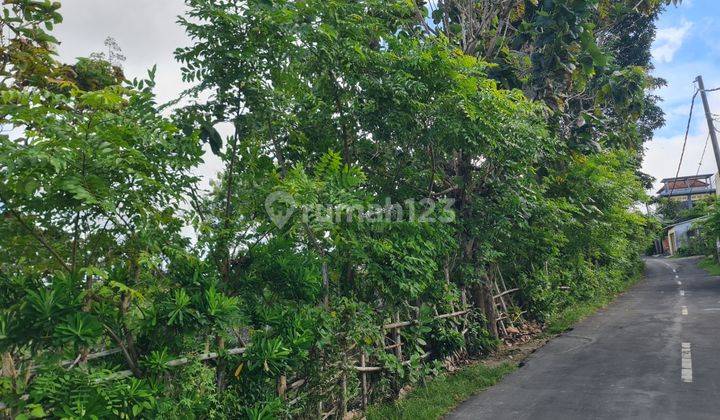 Tanah Langka Cocok Untuk Komersil Pinggir Jalan Raya Pecatu 2