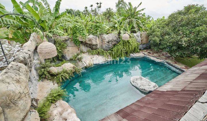 Ecofriendly Villa With A Real Lagoon Close To Monkey Forest Ubud 1