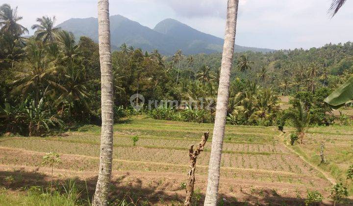 Beautiful Land With Mount Agung View In Zoning Housing Karangasem 2