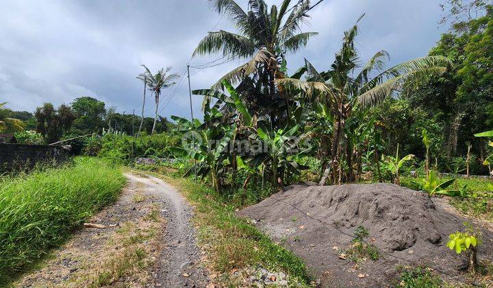 Beautiful Land With Ricefield View Suitable For Villa In Tabanan 2