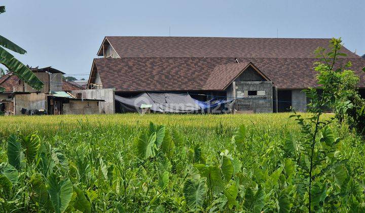 Ready to build Land With Ricefield View For Villa In Canggu 1