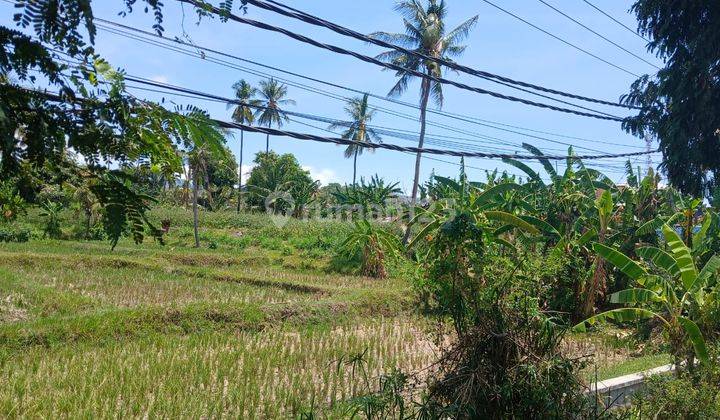 Spacious Strategic Land On The Main Road Gilimanuk Seririt 2