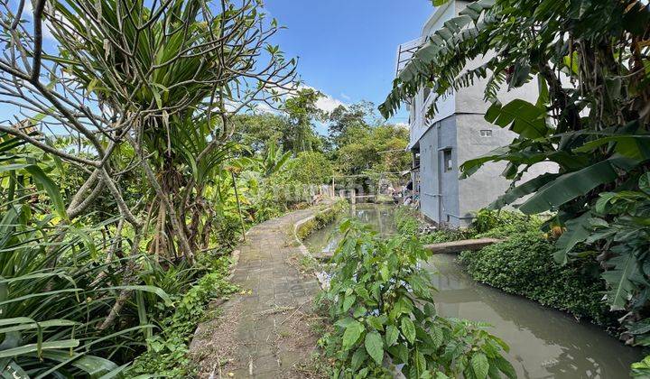 Freehold Riverside Land Suitable For Guesthouse In Canggu 1