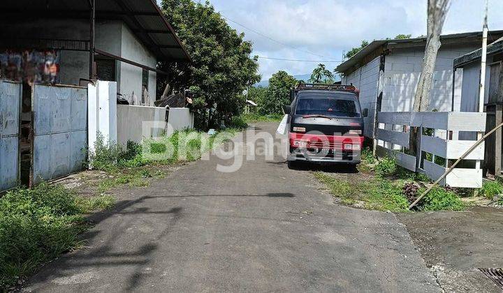 Pabrik Pengolahan Kayu di Randu Agung Singosari 2