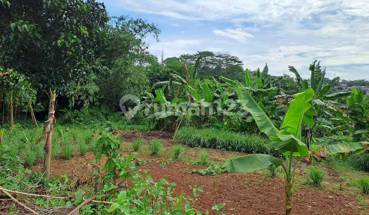 Translate to English: Translate to English: