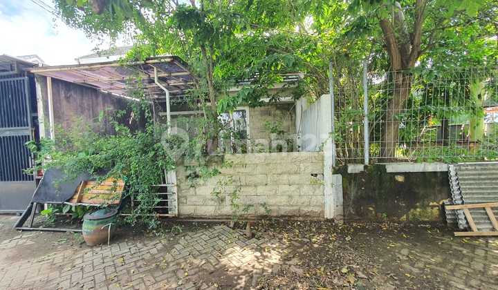 Rumah Minimalis BUTUH RENOV GOLDEN BERRY Menganti