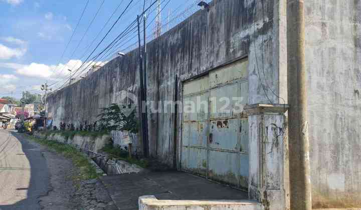 Rumah Sarang Burung Walet di Desa Kelapa Sawit Lumajang (Ln)