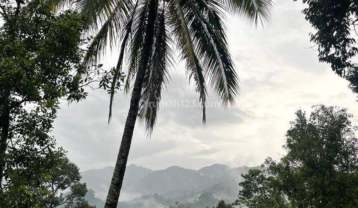 Dijual Tanah Dan Bangunan SHM 6800m2 View Pegunungan Subang Kaso Malang Dekat Curug Mata Air Dekat Ciater Jalan Cagak 2