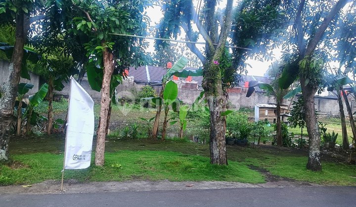 Tanah Shm Murah Dlm Komplek Di Cikoneng Gba Bojongsoang Bandung Tanah Shm Murah Dlm Komplek Di Cikoneng Gba Bojongsoang Bandung