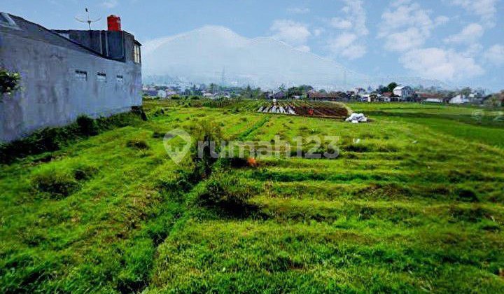 Murah! Tanah Cocok untuk kosan dkt kampus di Jatinangor Sumedang Murah! Tanah Cocok untuk kosan dkt kampus di Jatinangor Sumedang