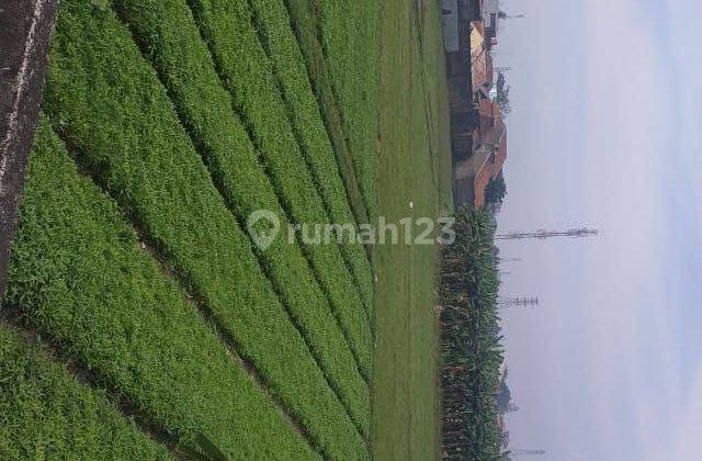 Tanah murah cocok untuk cluster di buah batu Bandung  1