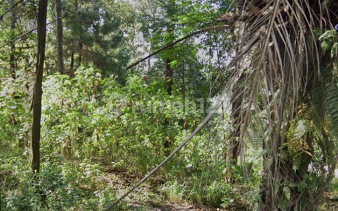 Tanah Murah Cocok untuk Vila Bandung Timur