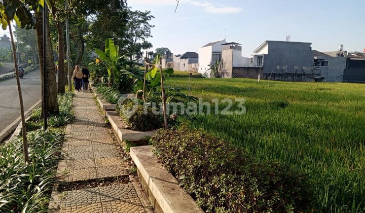 Tanah Murah Strategis Cocok untuk Usah Pasat Kota Baung Tanah Murah Strategis Cocok untuk Usah Pasat Kota Baung