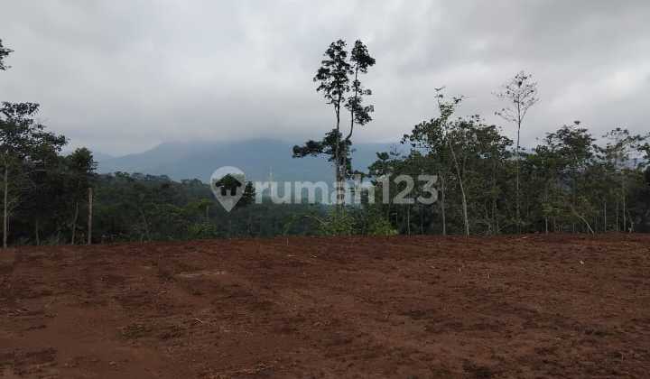Tanah kebun murah buat investasi atau berkebun di Rancakalong Sumedang Tanah kebun murah buat investasi atau berkebun di Rancakalong Sumedang