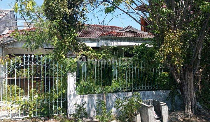 Rumah Di Rumah Kelampis Semolo Timur  Sukolilo Surabaya Ky 3+1 Km 2+1 Non Furnished Hgb Bagus  #ron 2079 Utaraß 1