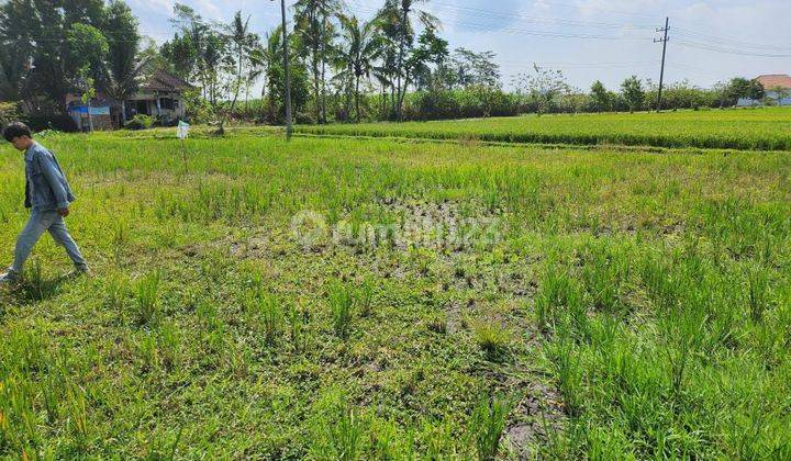 Dijual Tanah Persawahan Area Gondanglegi 2