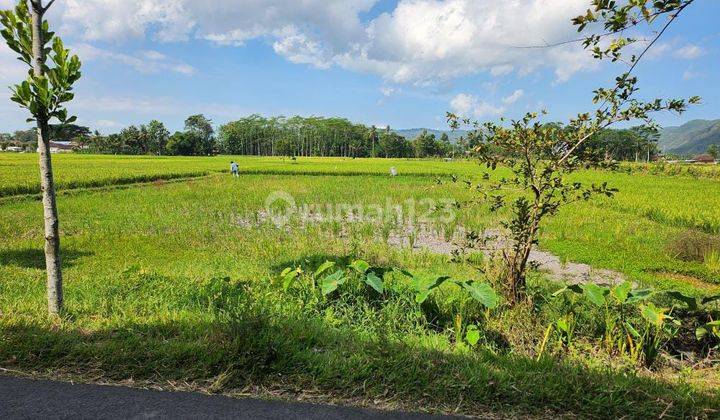 Dijual Tanah Persawahan Area Gondanglegi 1