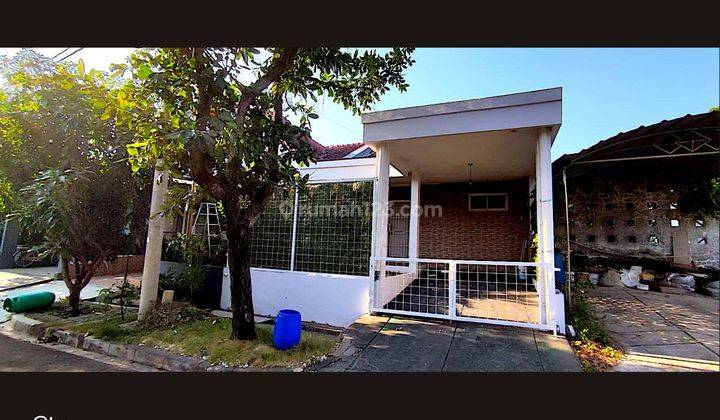 Rumah Keluarga Di Lingkungan Nyaman Beverly Cluster  1