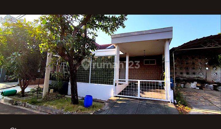 Rumah Keluarga Di Lingkungan Nyaman Beverly Cluster 1