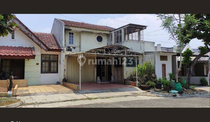 Rumah Compact Banyak Kamar Di Beverly Cluster 2