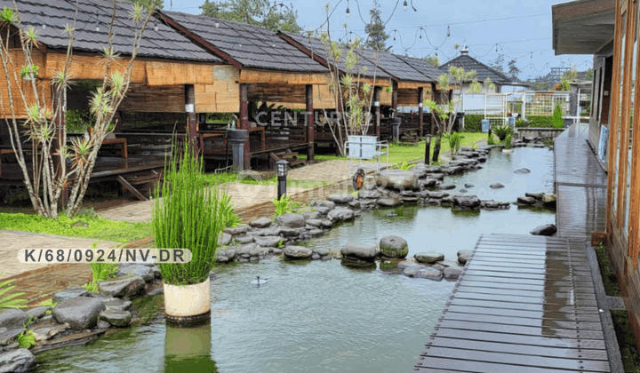 Villa Dan Resto Aktif Luas 6000 Di Cihideung Lembang Bandung 1