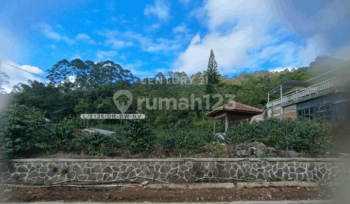 Dijual Tanah Luas Pimggir Jalan Siap Bangun di Ciwidey Bandung